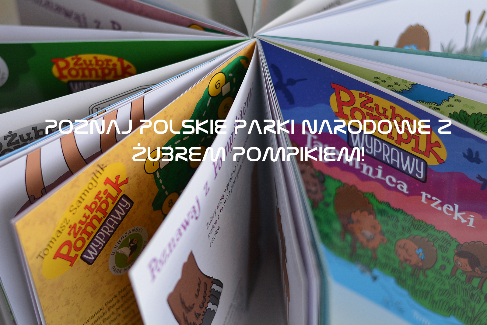 Poznaj polskie parki narodowe z Żubrem Pompikiem!