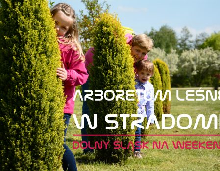 Arboretum leśne w Stradomii | Dolny Śląsk na weekend