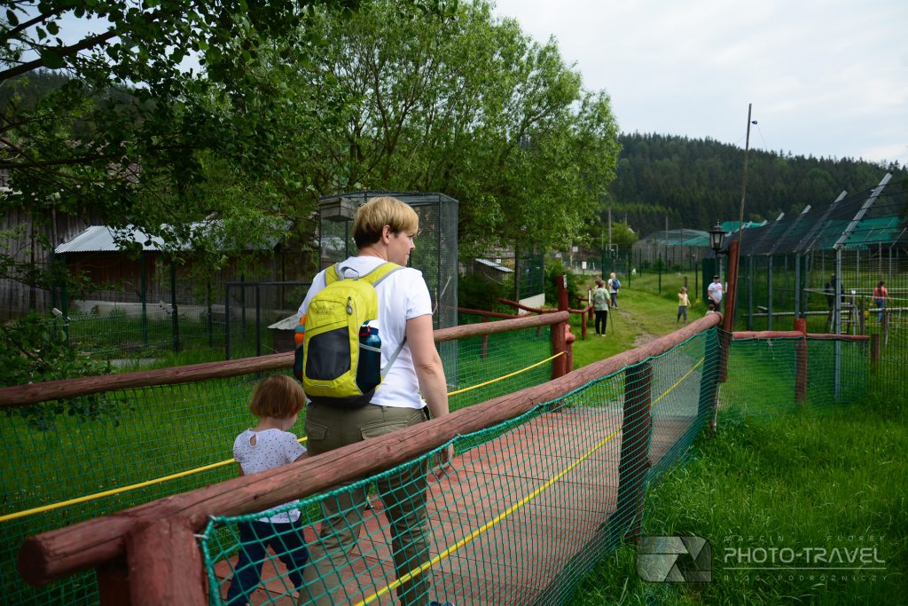 Zwiedzanie ZOO Łączna koło Mieroszowa z dziećmi