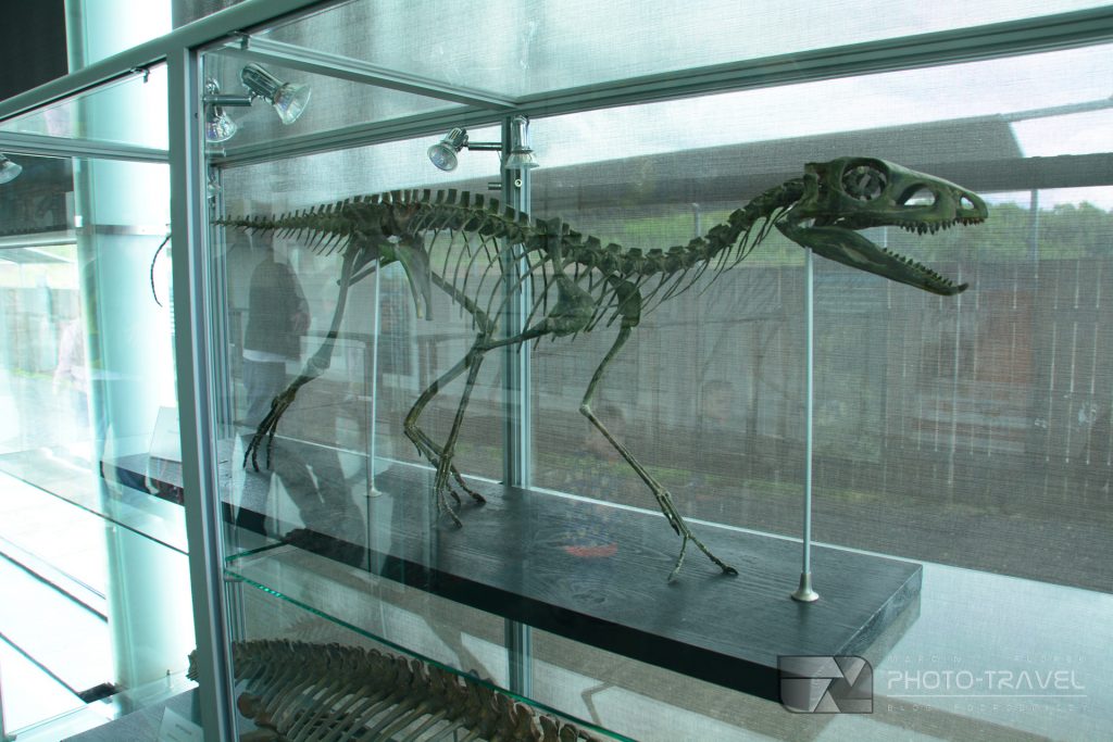 JuraPark Krasiejów - Pawilon Paleontologiczny model dinozaura