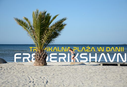 Frederikshavn plaza z palmami