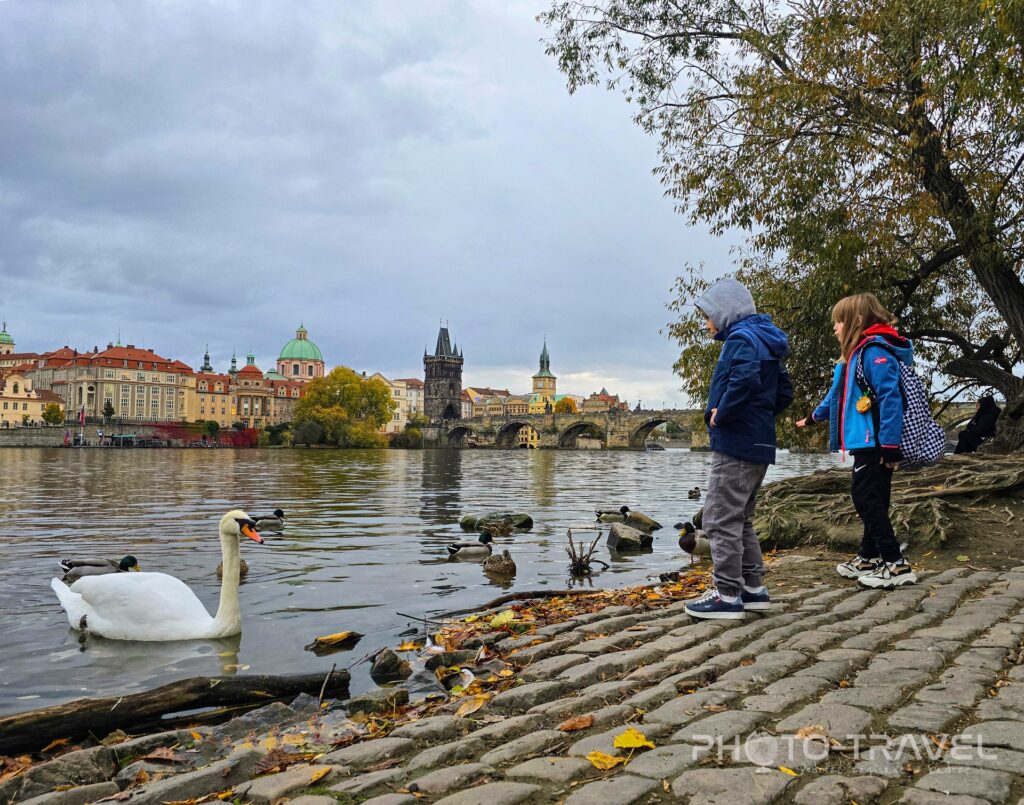 Park Cihelna w Pradze
