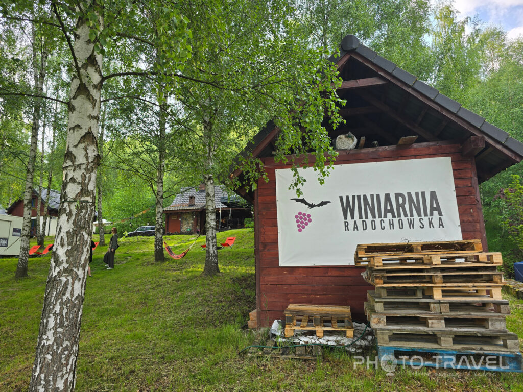 Winiarnia Radochowska