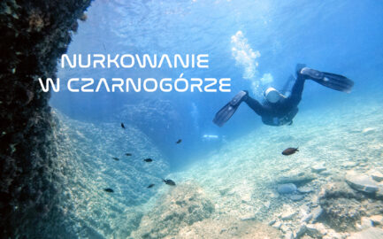 Nurkowanie w Czarnogórze. Z kim nurkować w Budvie i czego spodziewać się pod wodą?