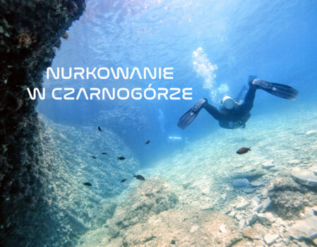 Nurkowanie w Czarnogórze. Z kim nurkować w Budvie i czego spodziewać się pod wodą?