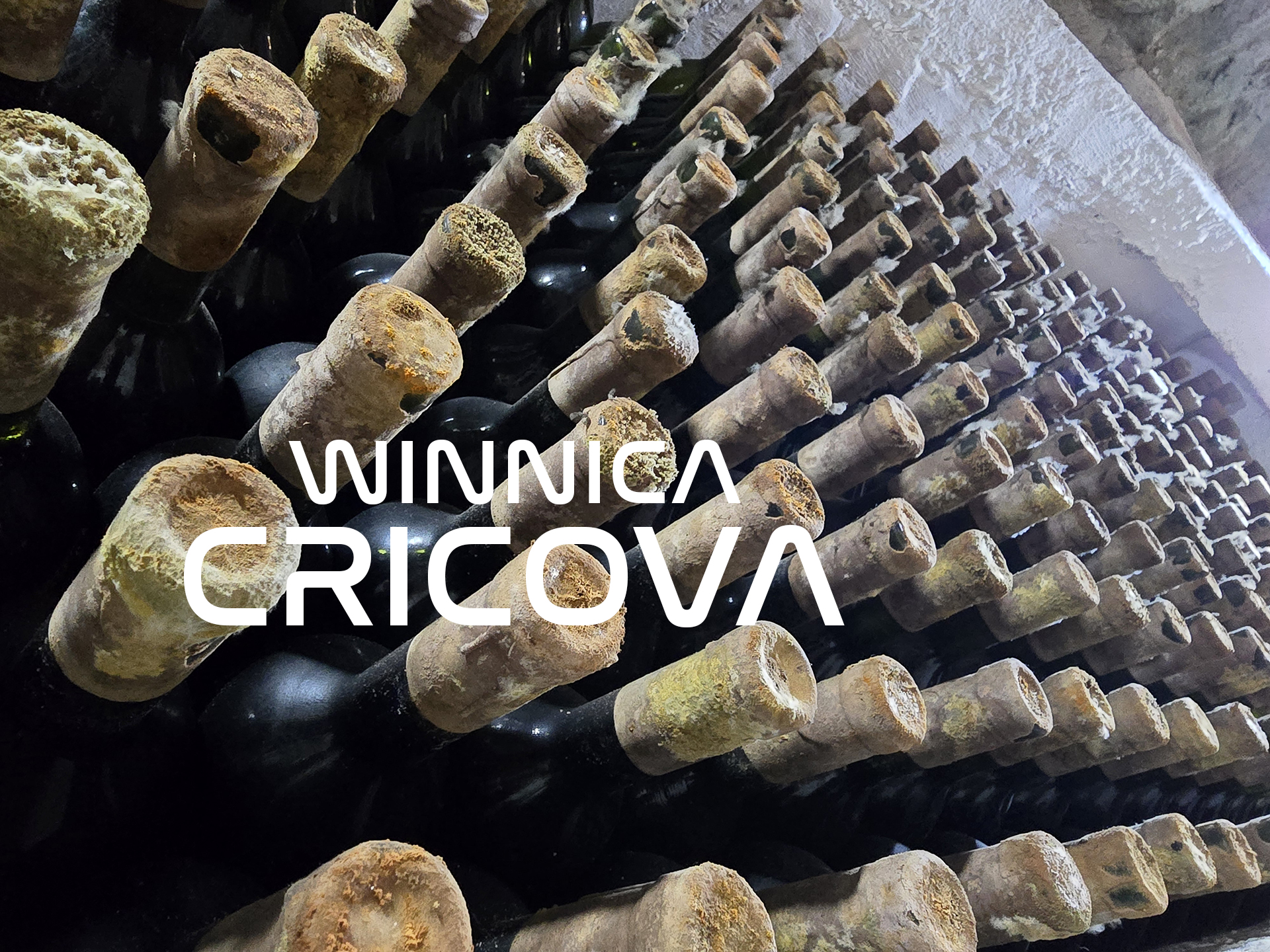 Winnica Cricova – podziemne miasto pod Kiszyniowem. Dojazd, bilety, zwiedzanie